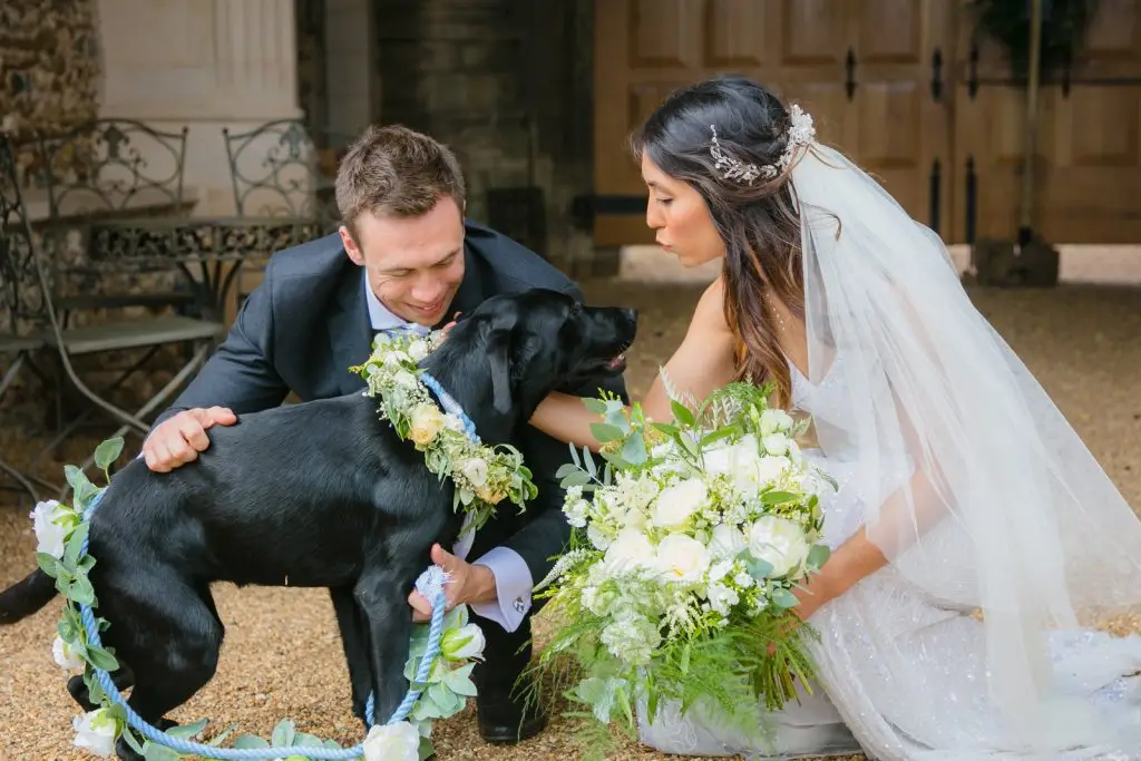 Pet Friendly Wedding Reception | Unique Norfolk Venues